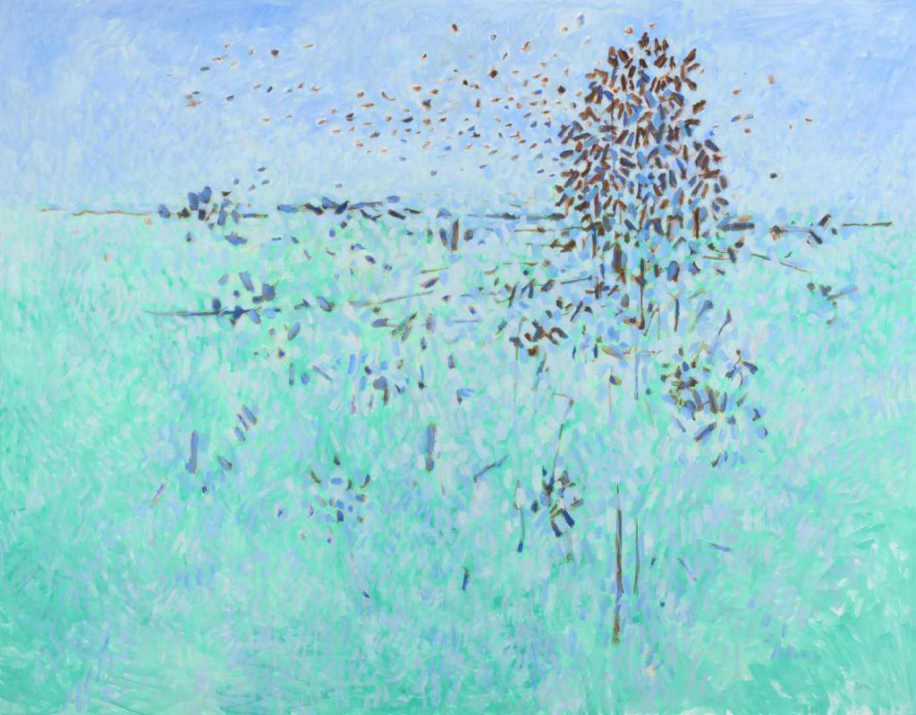 Birds Over a Field